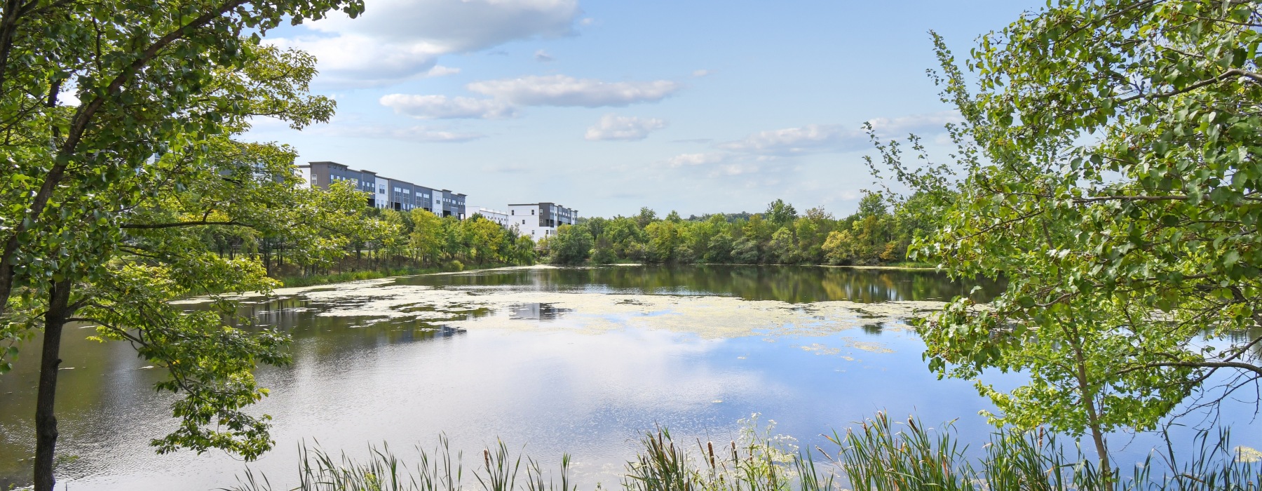 back exterior with pond view